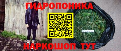 прущие грибы Ефремов