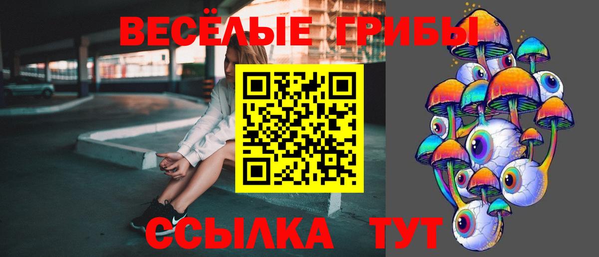 Псилоцибиновые грибы Cubensis Уварово